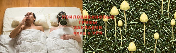 винт Михайлов