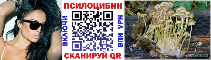 Галлюциногенные грибы мухоморы  Усть-Катав 